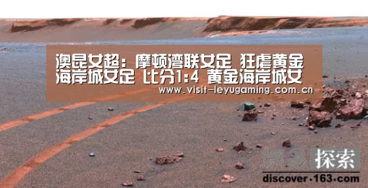 乐鱼