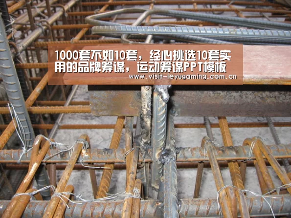 乐鱼