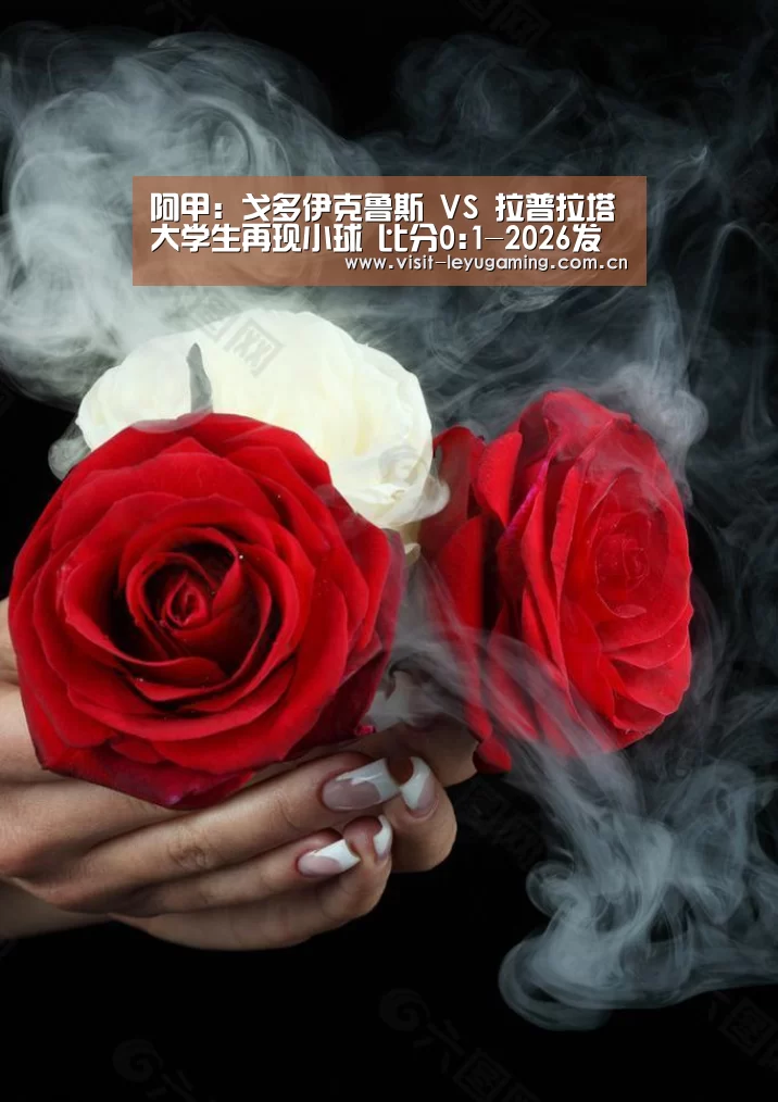 2026发发发