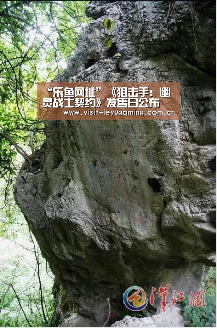 发发发